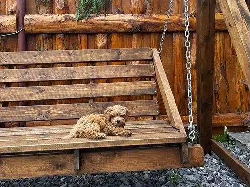 Банный комплекс «Емеля в Сосновом бору» Новосибирск