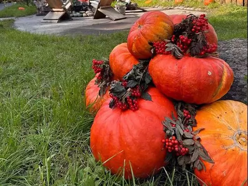 Банный комплекс «Емеля в Сосновом бору» Новосибирск